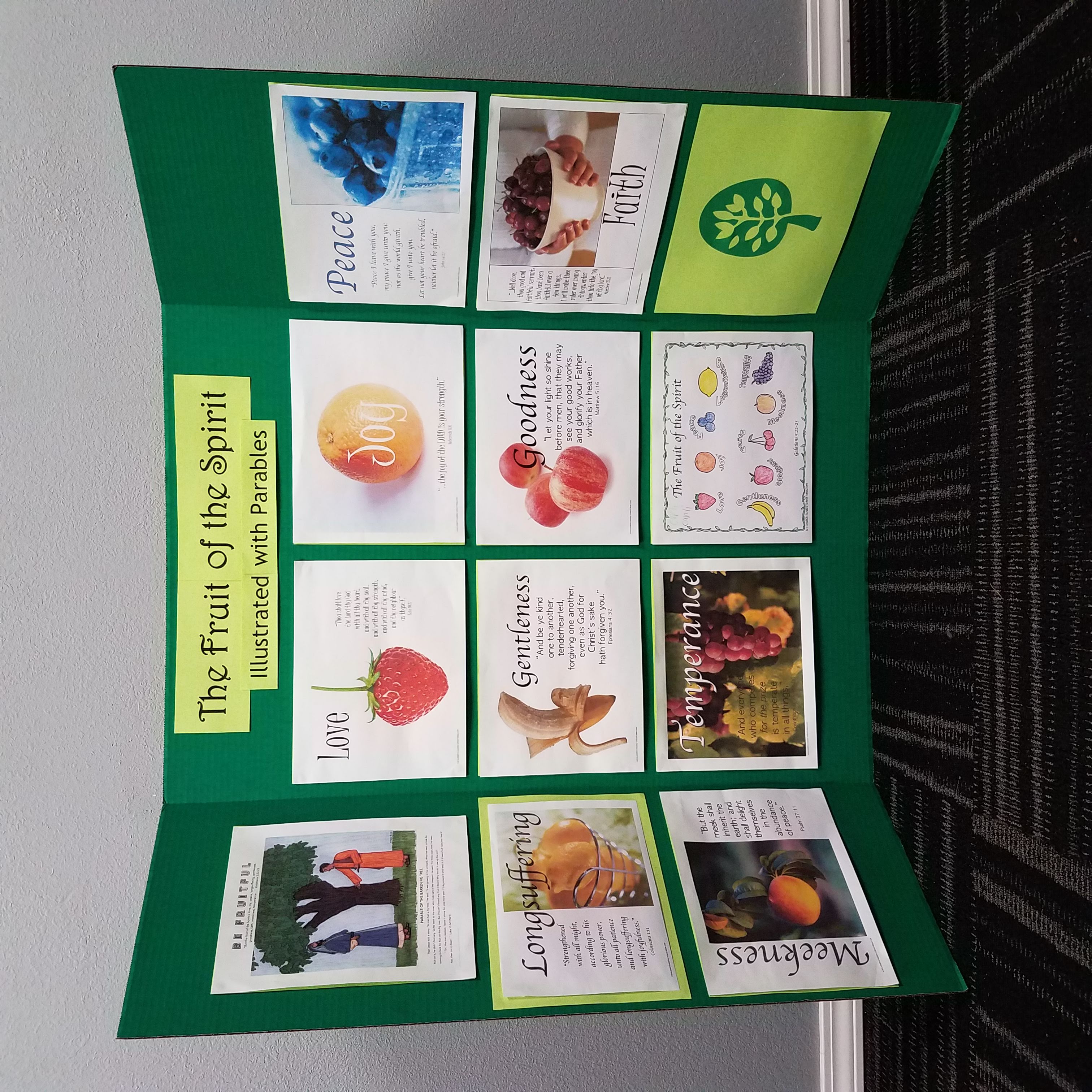 Fruit of the Spirit Board 2021